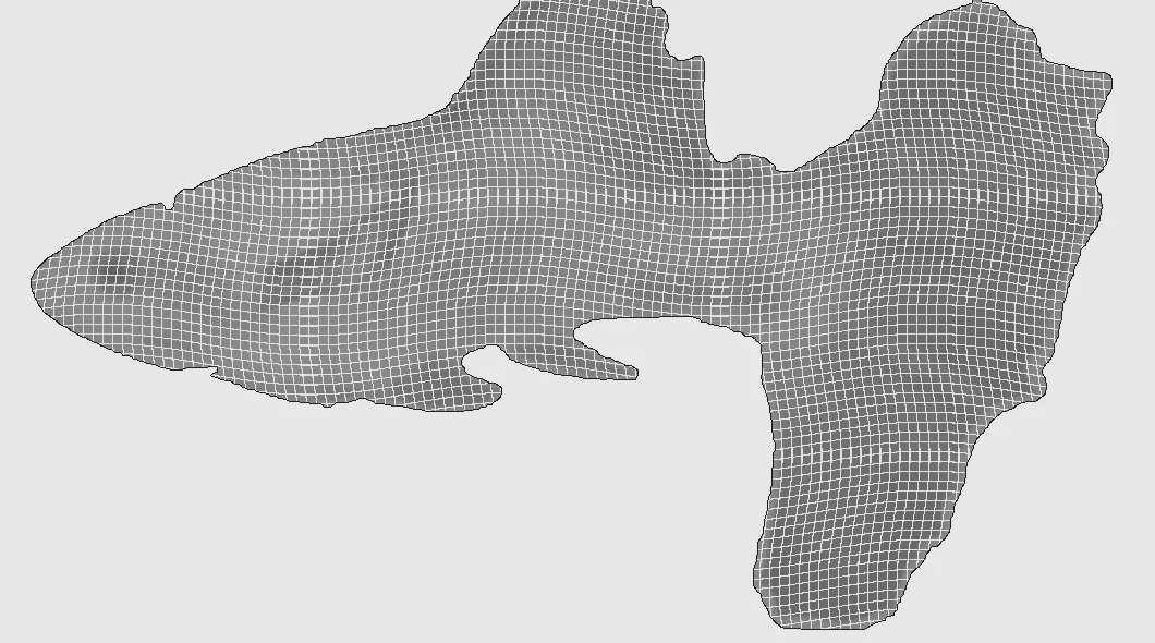 The guppy mesh before UV mapping