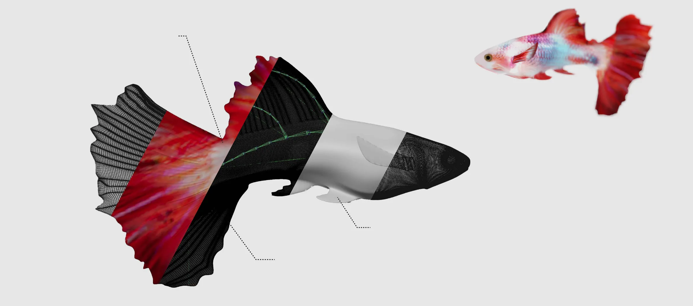 The guppy model in diagonal bands: wireframe, UV-mapped texture, rig joints, clay model, and the final render