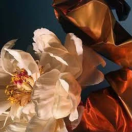 Moodboard for Blossom, image 8